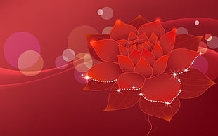 red Dahlia flower digital wallpaper