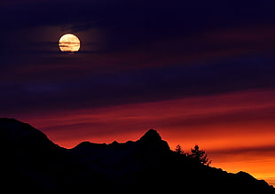 silhouette of mountain photo