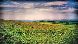green grassfield, landscape HD wallpaper