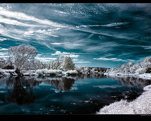body of water beside white leaf trees digital wallpaper, landscape, nature, digital art, reflection