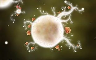 white sperm cell illustration