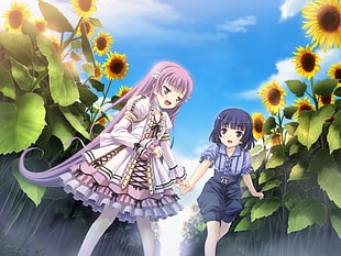 two pink and blue haired girl anime near sunflower during daytime wallpaper