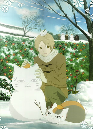 anime poster, Natsume Book of Friends, Natsume Yuujinchou