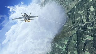 gray jet plane digital wallpaper, video games, airplane, McDonnell Douglas F/A-18 Hornet