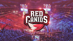 Red Canids logo, Red Canids, Cblol HD wallpaper