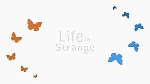 Life is Strange text