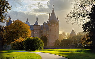 white and blue castle surrounded by tall trees under clouded sky during daytime