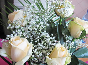 white Rose and Baby's Breath flowers in bloom close-up photo