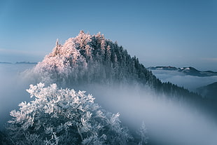 white fog over mountains, nature, landscape, winter
