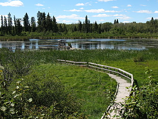 brown wooden bridge surrounded with body of water