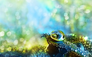 water droplets on blue stone in shallow focus photography