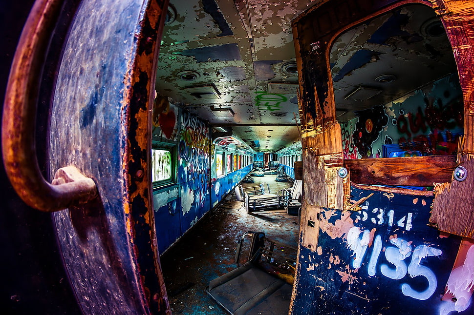 blue and gray train, train, ruin, graffiti HD wallpaper