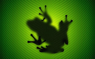illustration of frog illustration HD wallpaper