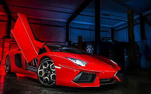 red Lamborghini Aventador, car, luxury cars, Lamborghini, Lamborghini Aventador