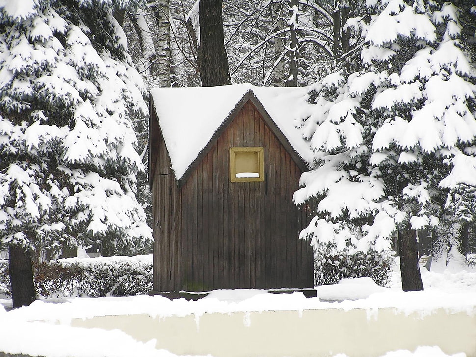 brown wooden house in snowfield HD wallpaper