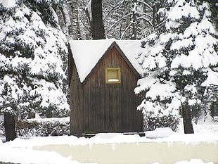 brown wooden house in snowfield