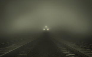 silhouette of train covered by fog