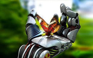 butterfly perched on robot hand, digital art, fantasy art, robot, hands HD wallpaper