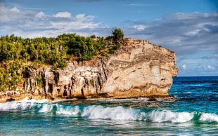 brown rock formation, beach, palm trees, cliff, Hawaii HD wallpaper