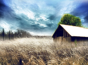 brown shack and grass field wallapper, nature, plains, field, Call of Duty Modern Warfare HD wallpaper