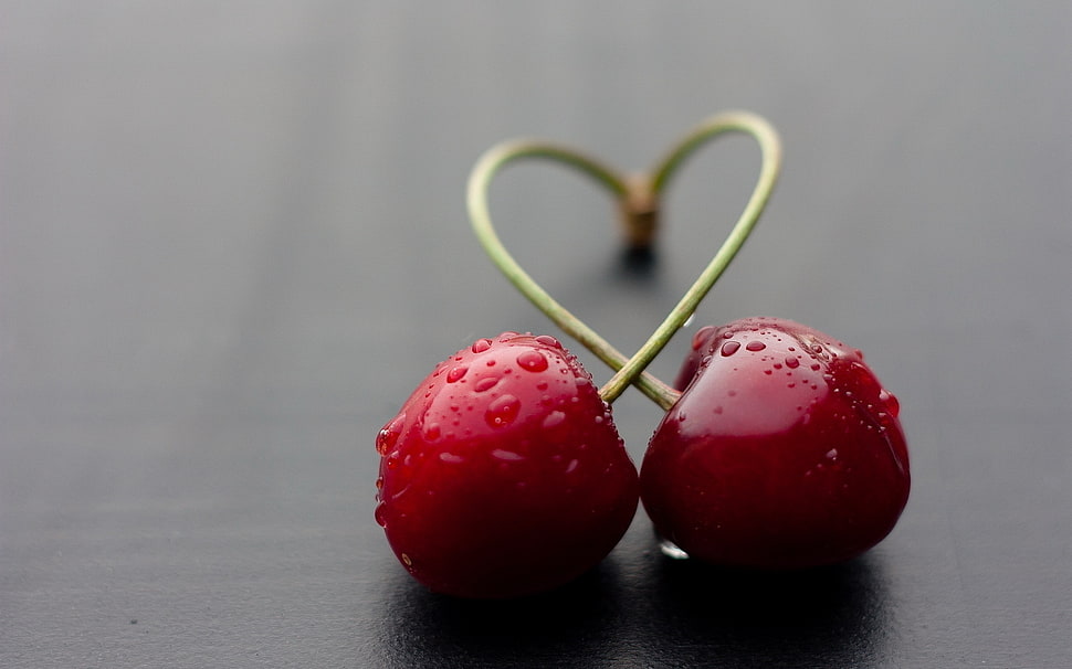 selective focus photography of red cherries HD wallpaper