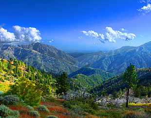 photo of green mountains during daytime, sheep mountain wilderness HD wallpaper