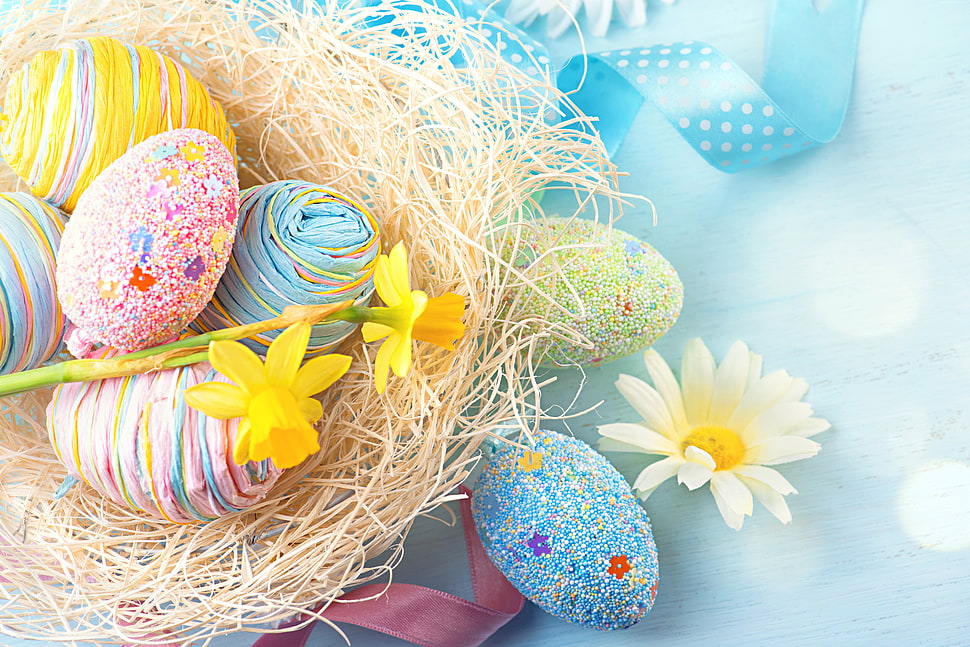 oval assorted-color egg decor lot HD wallpaper