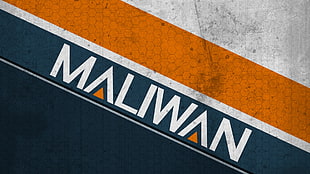 green and orange Mailwan labeled box, Borderlands 2, maliwan, video games HD wallpaper