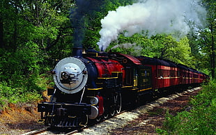 red and black train, train, vintage, steam locomotive, trees