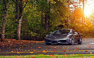 gray coupe on concrete pavement surrounded by trees