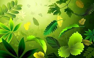 digital photo of green leaves HD wallpaper
