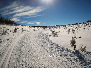landscape photo of ice field during daytiem