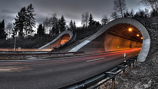 time lapsed photography of tunnel road surrounded by trees
