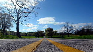 grey asphalt road, landscape, nature