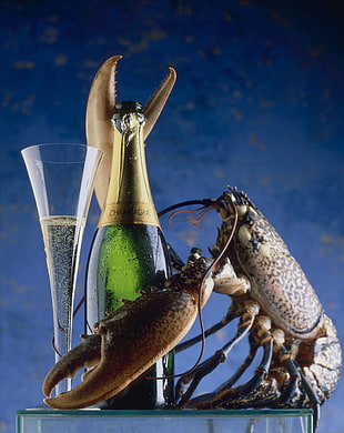 green wine bottle, lobsters, crustaceans, champagne, animals