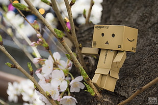dunboard toy, Danbo, Amazon, cherry blossom, spring HD wallpaper