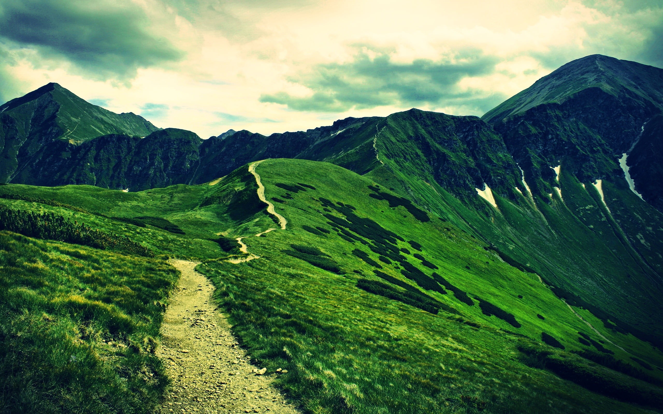 green grass field, mountains, landscape, grass