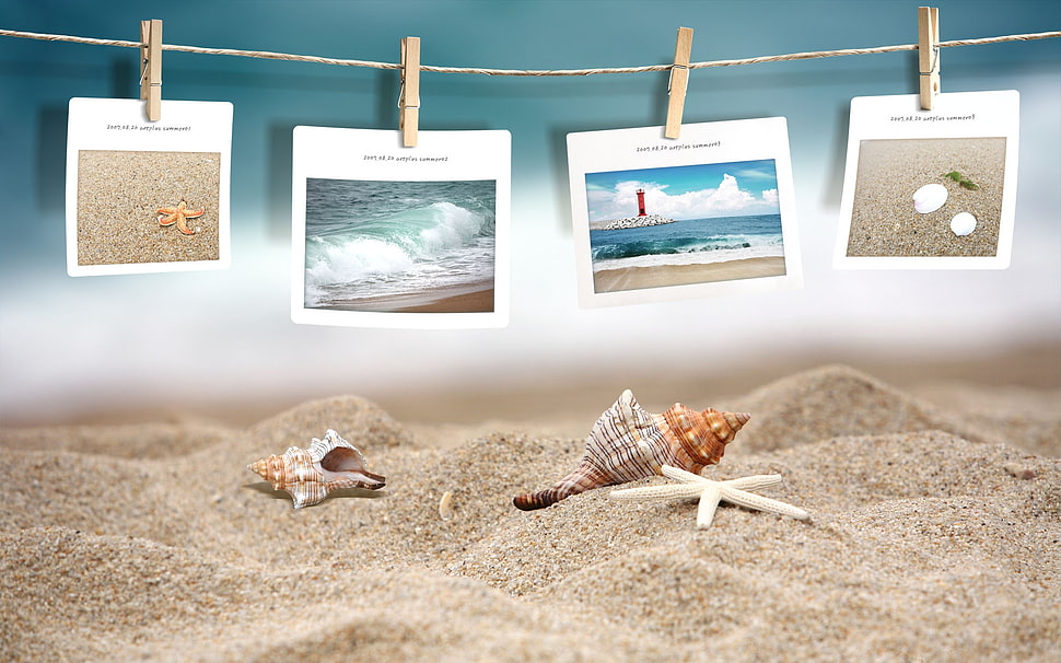 four assorted photos HD wallpaper