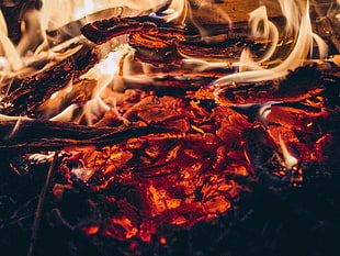 flaming wood photo