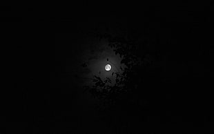 full moon, Moon, night, sky
