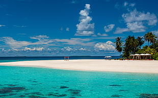white sand beach with tropical trees during daytime