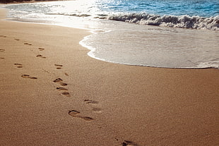 foot prints near seashore