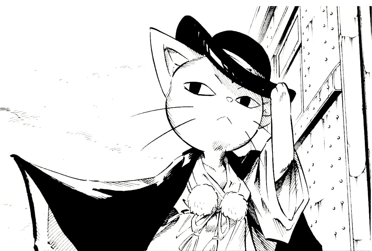 Illustration Of Cat Anime Cat Drawing Hd Wallpaper Wallpaper Flare