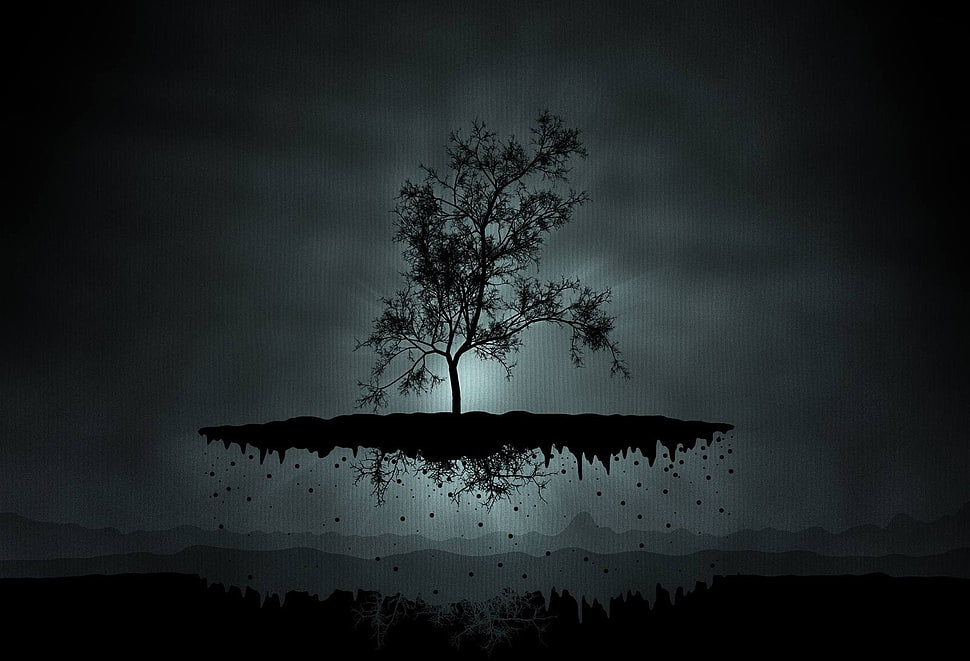white and black abstract painting, trees HD wallpaper