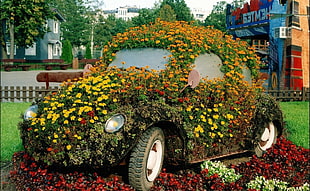 Volkswagen Beetle surrounded by flowers on lawn during daytime HD wallpaper