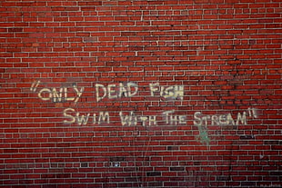 Only dead fish swim with the stream quote, bricks, quote, wall, text HD wallpaper