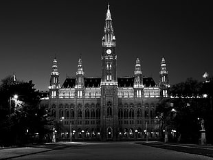 gray cathedral, black, white, night, Vienna