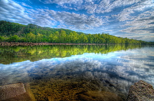 landscape photograph of green forest HD wallpaper