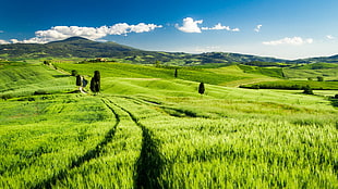 landscape photo of mountain surrounded by grass