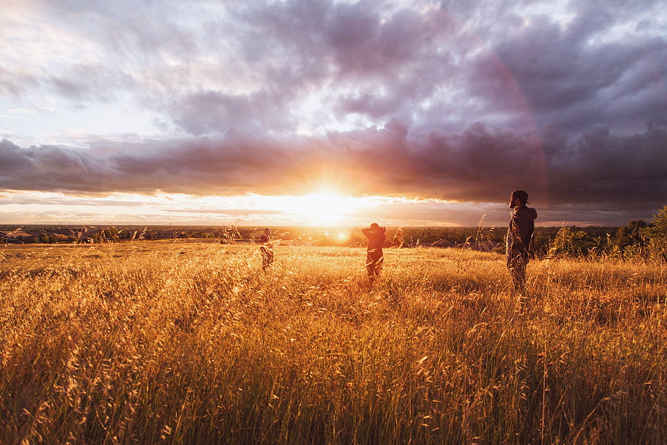 green grass field, landscape, sunset, clouds, backlighting HD wallpaper